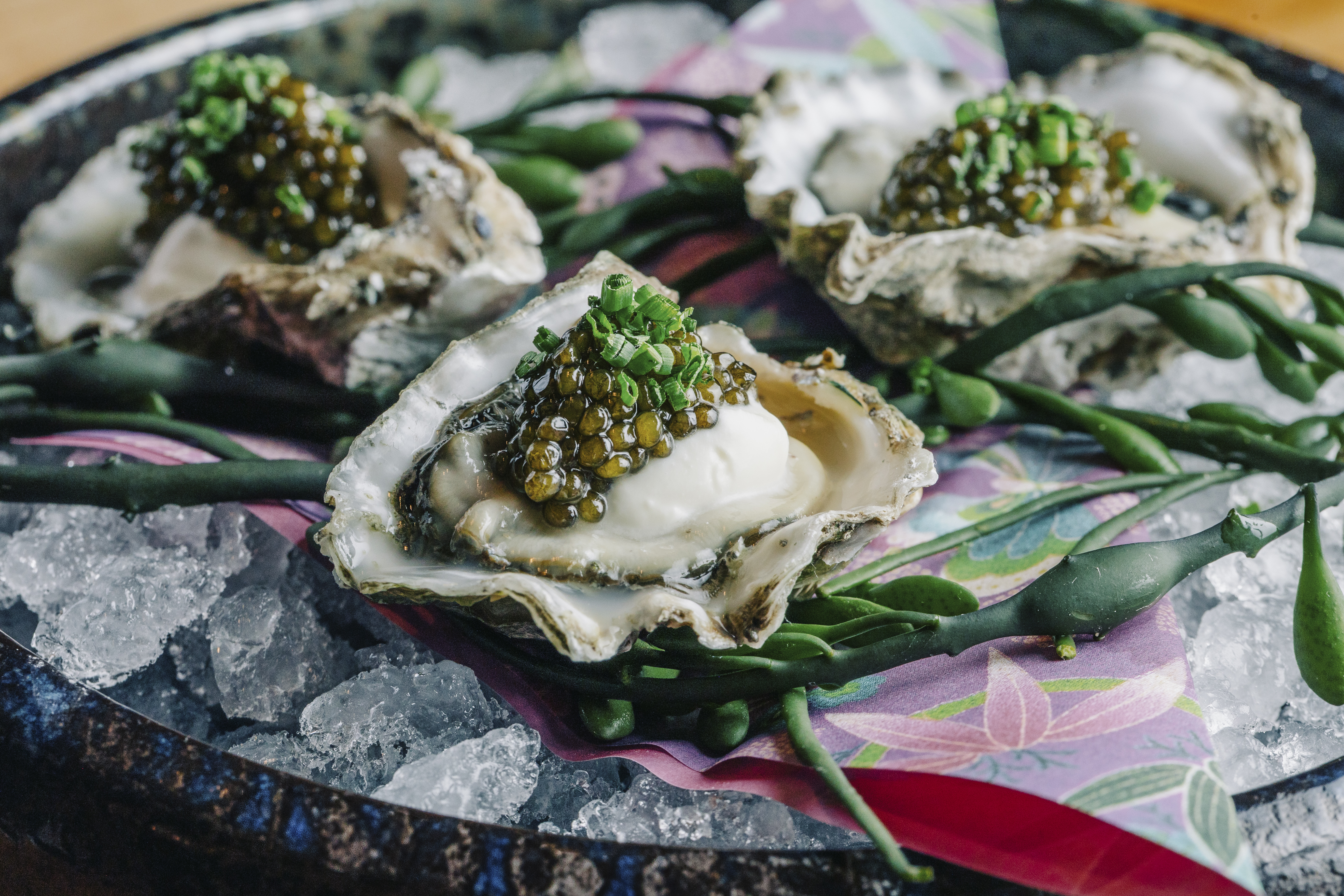 _MC_5668_HiRes _MC_5668_HiRes